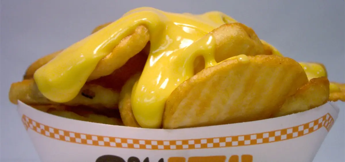 a close up of cheesy fries